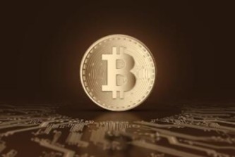 入门选择文件币软件官网 | 免费交易文件币软件用户量排名